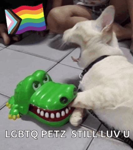 Dog Playing With Toy Crocodile LGBTQ Petz Still Luv U