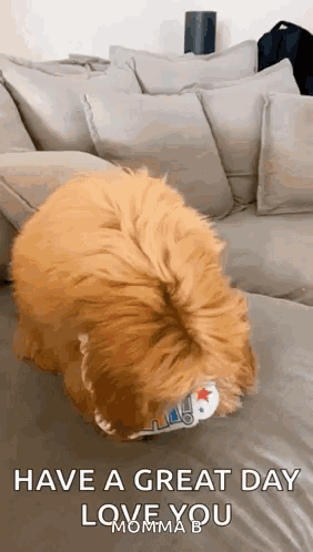 Dog Playing with Toy Saying Have a Great Day Love You Momma B