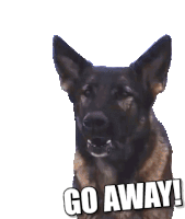 Dog Police Dog Sticker GIF