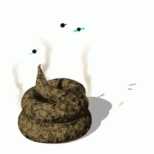 Dog Poop With Flies Over It GIF