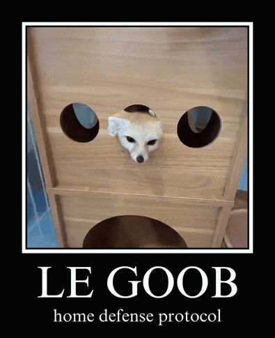 Dog Poster Le Goob Home Defense Protocol