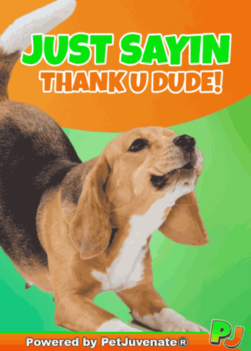 Dog Poster Saying Thank You