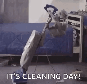 Dog Pulled By Vacuum Cleaner GIF