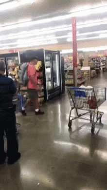 Dog Pushing The Cart At Walmart Funny GIF