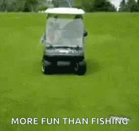 Dog Riding Golf Cart On Grassy Field GIF