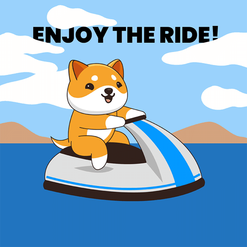 Dog Riding Jet Ski Enjoy The Ride