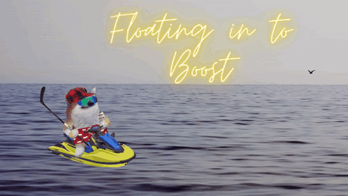 Dog Riding Jet Ski Floating In To Boost GIF
