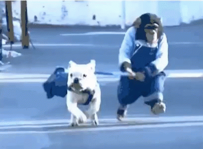 Monkey With Dog Running GIF
