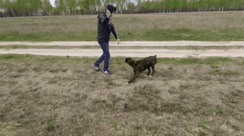 Dog Running From His Owner GIF