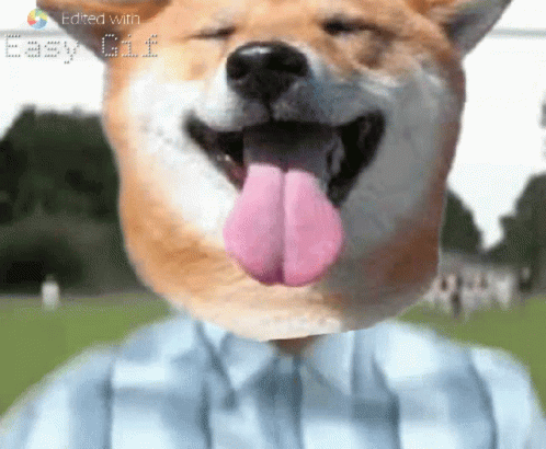 Man Dog Running GIF