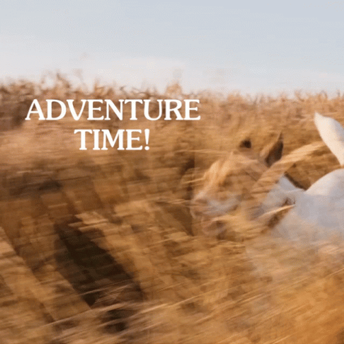 Dog Running Adventure Time GIF