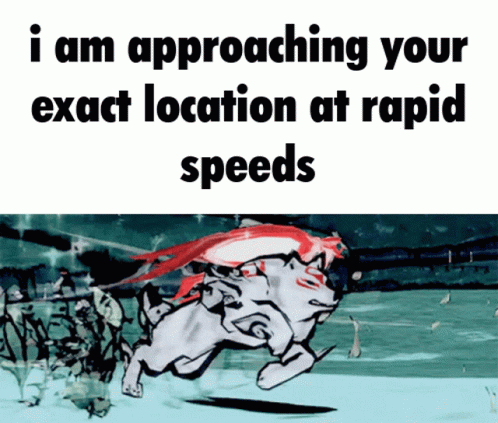 Dog Running Approaching Your Location