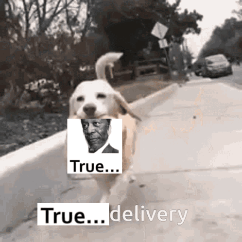 Dog Running with Man and True Delivery