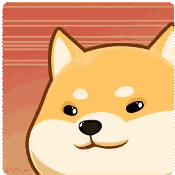 Dog's Face Close Up
