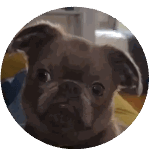Dog's Face in Circle