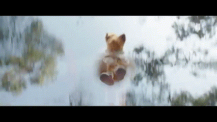Dog's Paw Hanging From Window