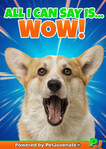 Dog Saying All I Can Say Is Wow