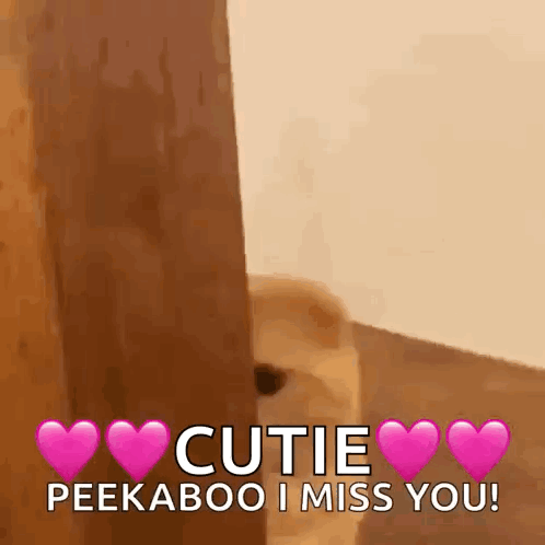 Dog Saying Cutie Peekaboo I Miss You GIF