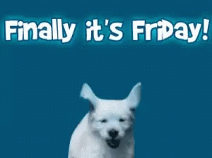 Dog Saying Finally It's Friday GIF