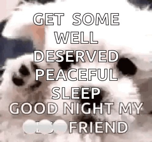 Dog Saying Good Night GIF