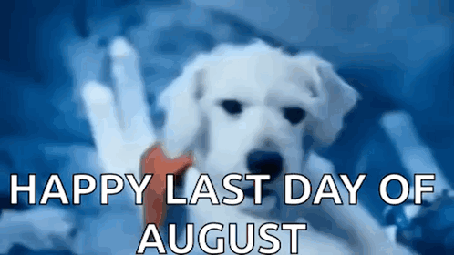 Dog Saying Happy Last Day of August