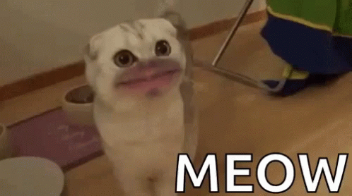 Dog Saying Hotta Dogs All Bark No Bite