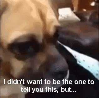 Dog Saying I Didn't Want to Be the One to Tell You This