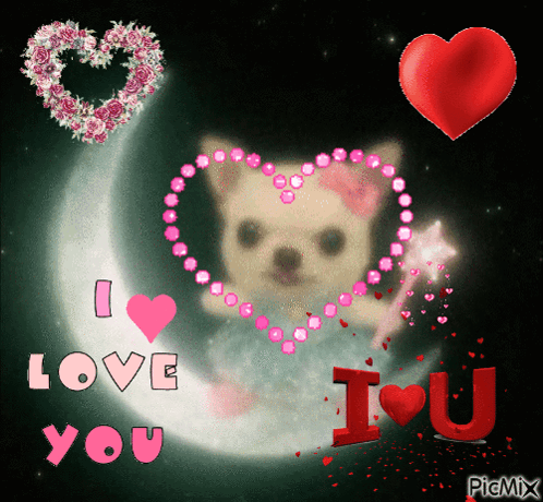Dog Saying I Love You