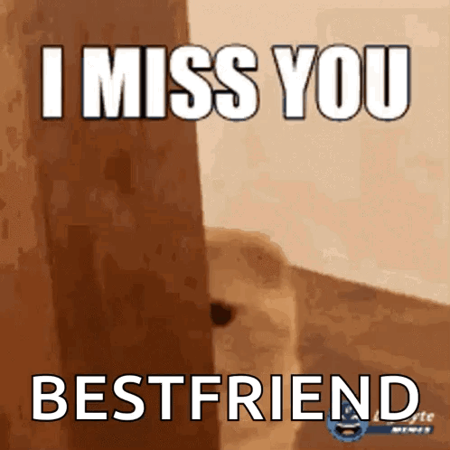 Dog Saying I Miss You Bestfriend