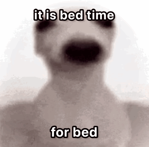 Dog Saying It Is Bed Time for Bed