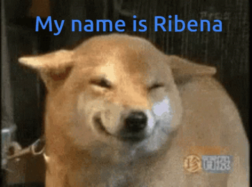 Dog Saying My Name Is Ribena
