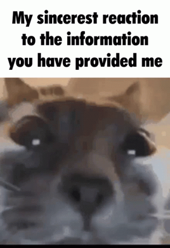 Dog Saying My Sincerest Reaction to the Information You Have Provided Me