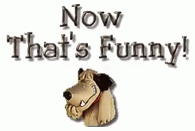 Dog Saying Now That's Funny GIF
