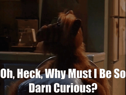 Dog Saying Oh Heck Why Must I Be So Darn Curious