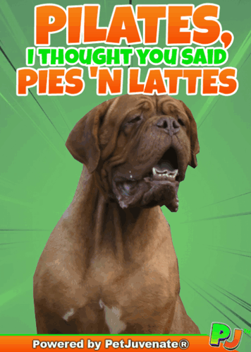 Dog Saying Pilates I Thought You Said Pies 'n Lattes