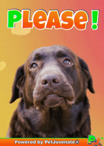 Dog Saying Please