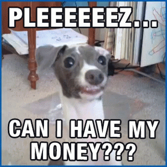 Dog Saying Pleeeeez Can I Have My Money GIF