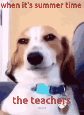 Dog Saying Summer Time Teachers