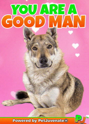 Dog Saying You Are A Good Man GIF
