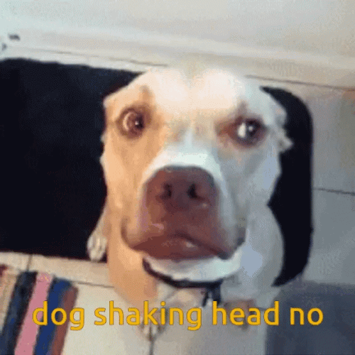 Dog Shaking Head No GIF