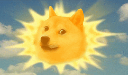 Dog Shiba Inu Hello Sunshine GIF
