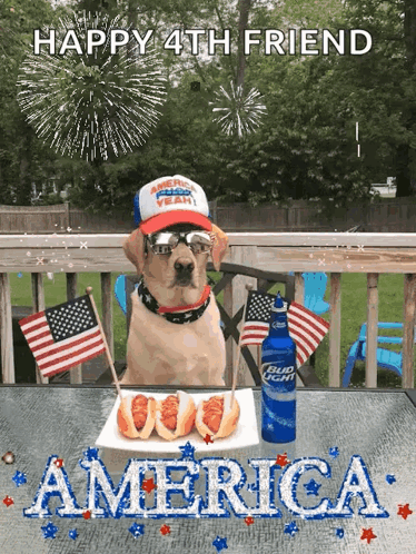Dog Sitting at Table With Hot Dogs and Bud Light
