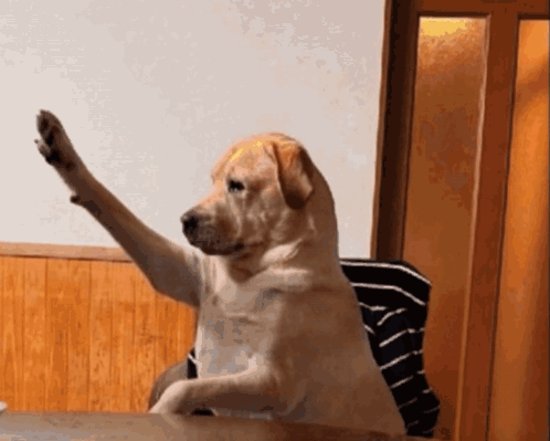Dog Sitting at Table with Paw in Air