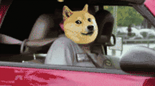 Dog Sitting in Car with Mask