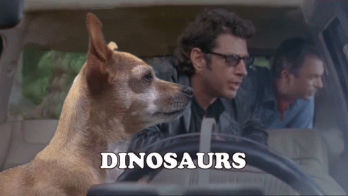 Dog Sitting In Driver's Seat Inherit The Earth GIF