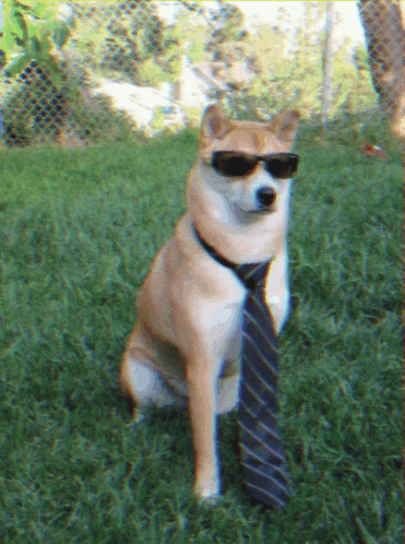 Dog Sitting in Grass with Tie and Sunglasses