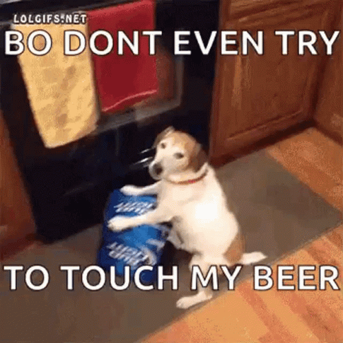 Dog Sitting Next To Stove Holding Beer Can GIF