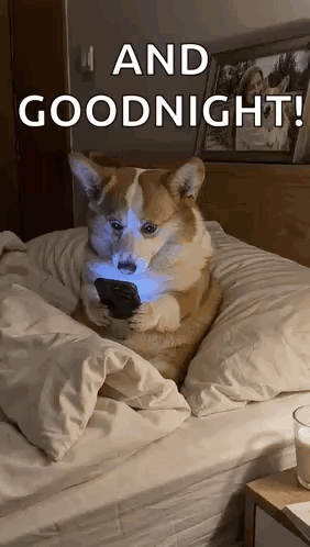 Dog Sitting on Bed Holding Cell Phone