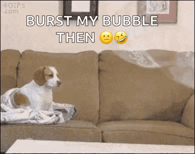 Dog Sitting on Couch Saying Burst My Bubble
