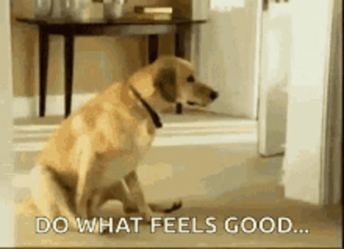 Dog Sitting on Floor Do What Feels Good